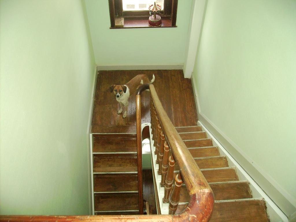Apartment Olga Blankenberge
